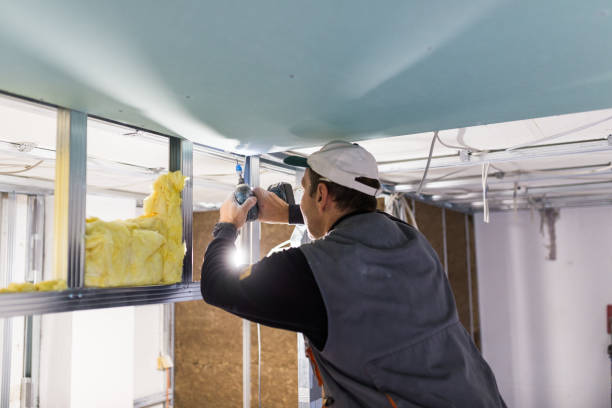 Best Crawl Space Insulation  in Langley, SC