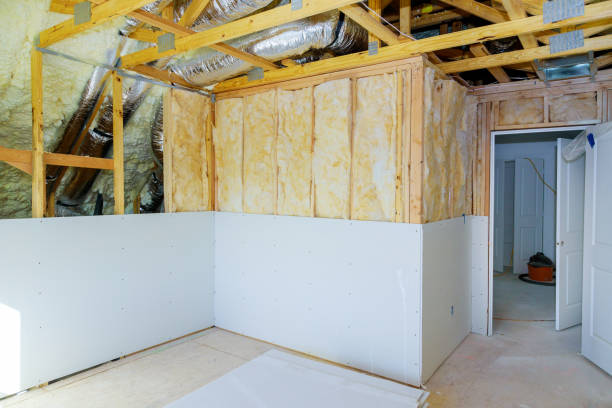 Best Insulation for New Construction  in Langley, SC