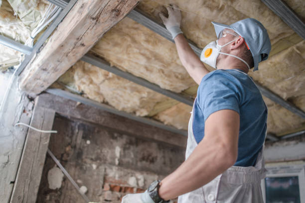 Best Fiberglass Insulation  in Langley, SC