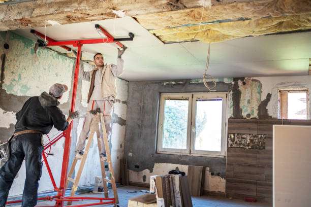 Best Professional Insulation Contractor  in Langley, SC
