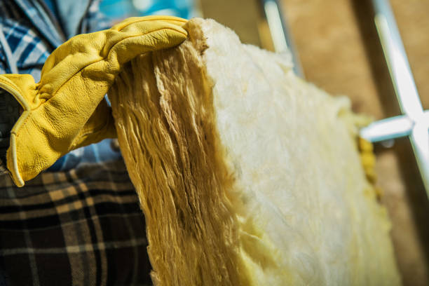 Best Fiberglass Insulation  in Langley, SC