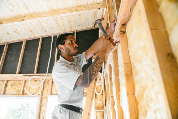 Best Blown-in Insulation  in Langley, SC