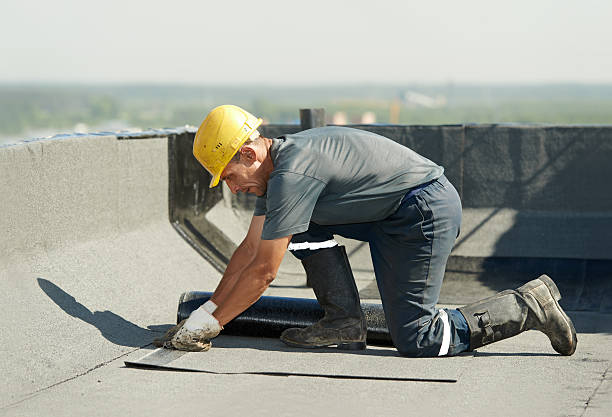 Best Insulation Contractor Near Me  in Langley, SC