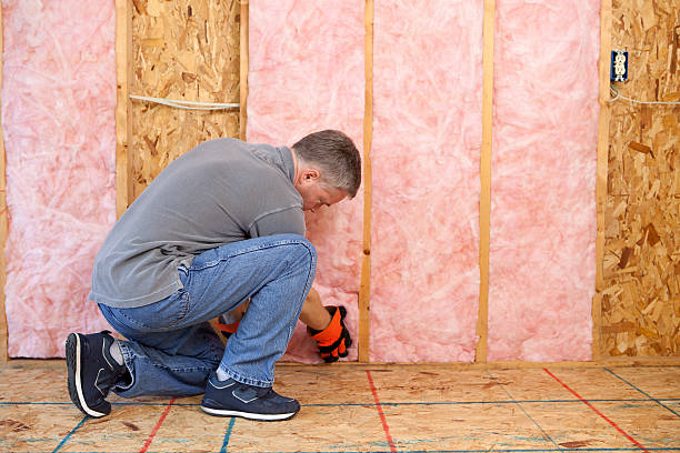 Best Commercial Insulation Contractor  in Langley, SC