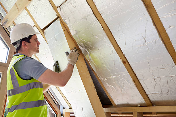 Best Home Insulation Services  in Langley, SC