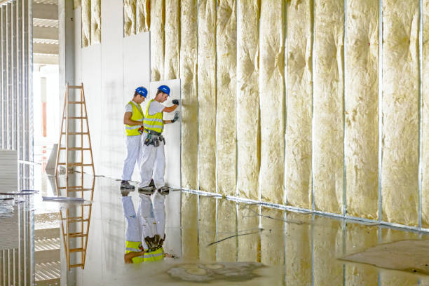 Insulation Repair Services in Langley, SC